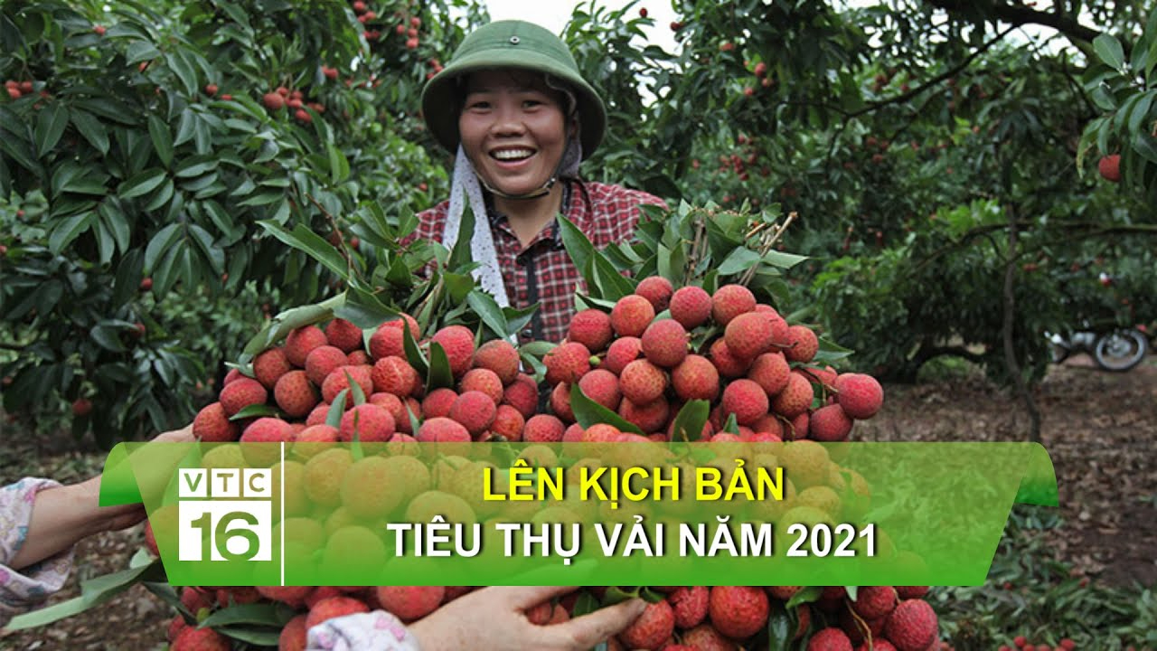 Trường học có phải sắp xếp, tinh gọn sau khi sáp nhập tỉnh và xã?