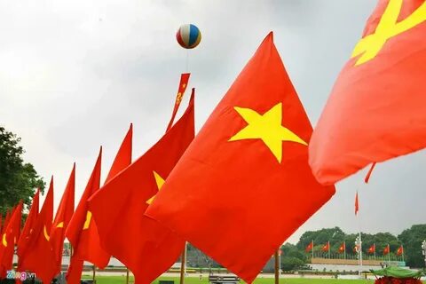 Tiền đạo Brazil lập công, áp sát vị trí số 1 của Tiến Linh_video kể về tín hiệu