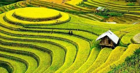 'Hành trình hạnh phúc' của Saigon Co.op lan tỏa niềm tự hào quê hương